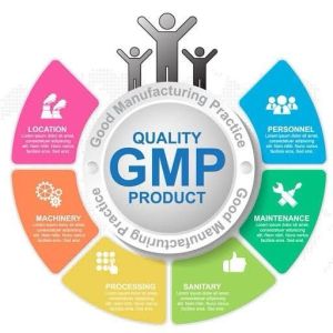 GMP (Good Manufacturing Practice)